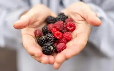 Frutos Rojos: El Poder Antioxidante que Mejora la Salud y la Memoria
