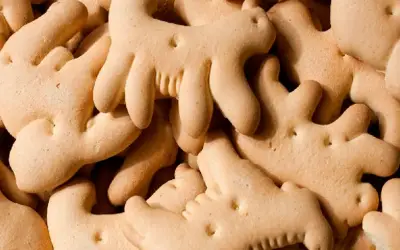 Galletas de Animalitos: La Historia del Circo que Endulzó a México