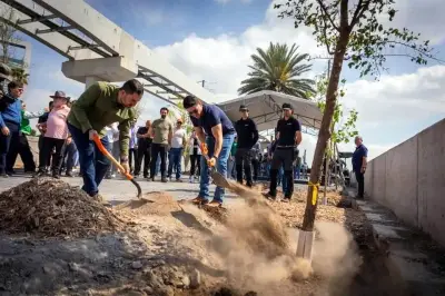 Gobierno anuncia plantación de miles de árboles en Constitución para reforestación urbana