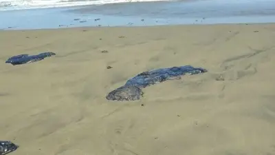 Greenpeace y ONG's acusan que derrame en Golfo de México inició en febrero, no en marzo