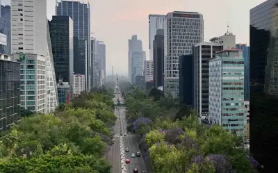 Hoy No Circula CDMX: Restricciones Vehiculares del 11 al 15 de Marzo de 2026