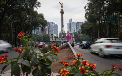 Hoy No Circula en CDMX y Edomex: Restricciones y Calidad del Aire para este Miércoles