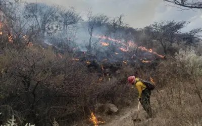 Incendio en Bosque La Primavera arrasa más de 100 hectáreas; activan alerta atmosférica