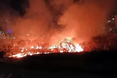 Incendio en el lecho del Río Santa Catarina en Monterrey causa alarma ambiental