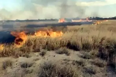 Incendio en pastizal de El Carmen afecta hectáreas y moviliza a bomberos