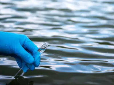 Innovación científica: Crean oasis tecnológicos que extraen agua potable del aire del desierto