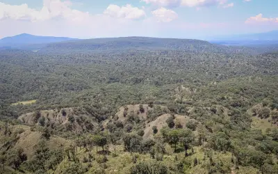 Jalisco impulsa ordenamiento territorial para proteger el Bosque La Primavera de la expansión urbana