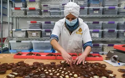 Jalisco revierte caída de empleo en febrero tras pérdidas en diciembre y enero