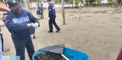 Limpieza de hidrocarburos en Golfo de México alcanza 88% de avance con 94.7 toneladas recolectadas