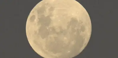 Luna de Flores 2025: Cuándo y cómo ver la última microluna del año en México