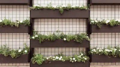 Macetas Metálicas Negras: La Revolución en Decoración de Plantas para 2026