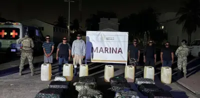 Marina asesta golpe millonario al narco: decomisa 650 kg de cocaína en Michoacán
