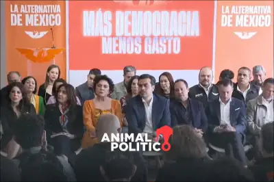 MC propone reforma electoral para ampliar participación y reducir gastos