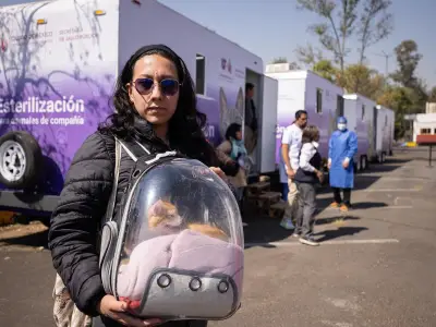 Megajornada de Esterilización en Tláhuac: CDMX Lanza Plan Masivo de Salud Animal