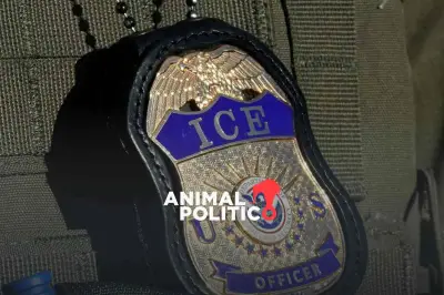 Mexicano fallece en custodia de ICE en California; abren investigación