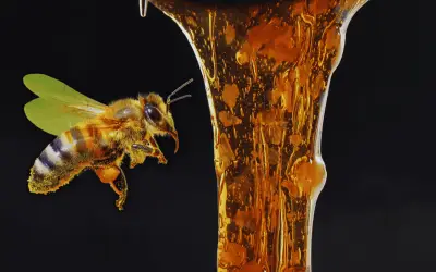 Miel Oscura: El Secreto Nutricional con Mayor Poder Antioxidante y Cicatrizante