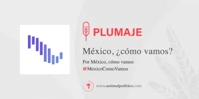 Mito Financiero Desmontado: Las Mujeres Administran Mejor, Pero Invierten Menos