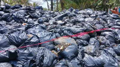 Más de 40 toneladas de hidrocarburos a cielo abierto generan mal olor en Coatzacoalcos
