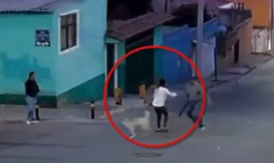 Mujer es atacada con machete en Puebla al defender perros callejeros; gobernador condena violencia