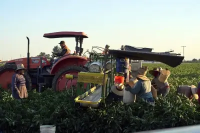 México Abandona el Top 10 Mundial de Exportadores Agroalimentarios