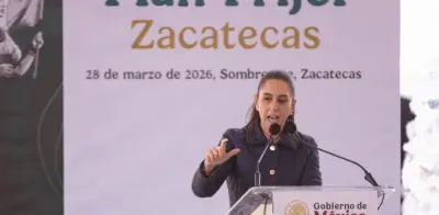 México logra autosuficiencia en frijol con Zacatecas como motor clave del Plan Frijol