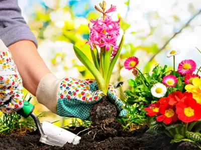 Naucalpan implementa talleres ambientales en San Francisco Chimalpa para fomento sustentable