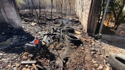 Nuevo León enfrenta 145 incendios por vientos del frente frío ío 41