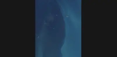 ONGs acusan a Pemex de ocultar derrame de hidrocarburos desde febrero en el Golfo