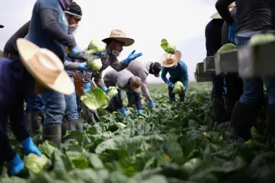 Organizaciones denuncian intensificación de deportaciones masivas en América Latina durante 2025