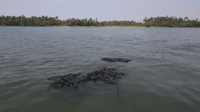 Pescadores de Veracruz denuncian grave fuga de hidrocarburo en laguna y Río Colorado