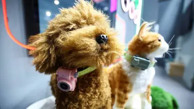 PetPhone: El celular que conecta a dueños con sus mascotas desde cualquier lugar