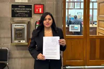 Presentan demanda contra decreto de AMLO por presunta inconstitucionalidad