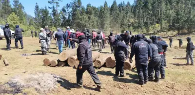 Profepa asegura madera talada ilegalmente y clausura predios en operativos ambientales