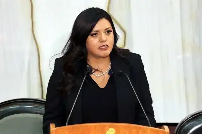 Promoverán recurso para que se publique el decreto 340 íntegro en México