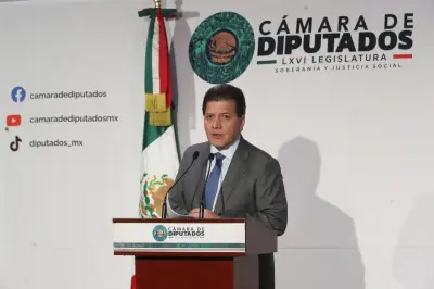 Reforma electoral: Diputados prevén discutir dictamen la próxima semana