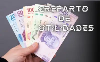 Reparto de utilidades en México 2026: derechos, cálculo y plazos de pago