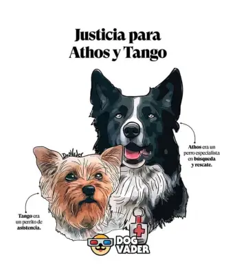 SCJN perfila reducir condena de 10 a 4 años por envenenamiento de perros Athos y Tango