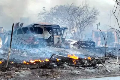 Se Disparan los Incendios Forestales en México: Más de 150 Brigadas en Combate