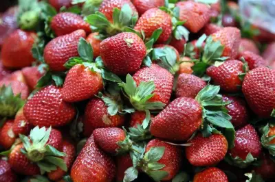 Sector Agroexportador Pide Exención de Impuestos para Pequeños Productores