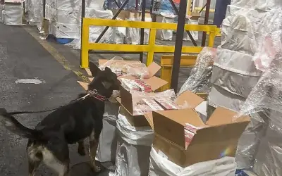 Semar asegura 4.5 toneladas de cigarrillos ilícitos en el AICM valorados en 18.5 millones de pesos