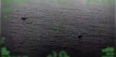 Semar localiza en el mar los veleros desaparecidos que viajaban con ayuda a Cuba