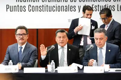 Senado discutirá el 'Plan B' electoral la próxima semana en comisiones y pleno