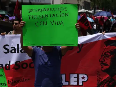 Senadoras del PVEM exigen acción urgente por desapariciones en Morelos