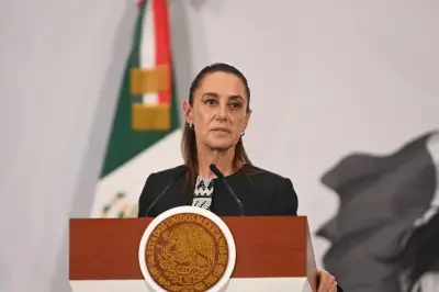 Sheinbaum descarta demanda contra Elon Musk tras acusaciones de vínculos con cárteles