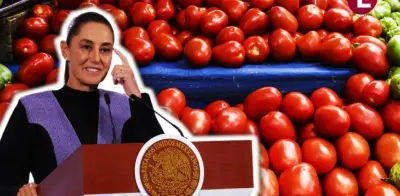 Sheinbaum evalúa incluir jitomate, limón y pollo en el PACIC ante alzas estacionales