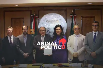 Sheinbaum presenta reforma electoral ante Congreso con apoyo de Morena y críticas de aliados