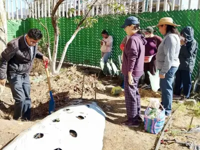 Tlaxcala impulsa composta casera para reducir residuos y fomentar autoconsumo
