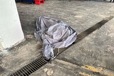 Tragedia en el estadio: Aficionado fallece tras saltar ebrio desde el segundo piso