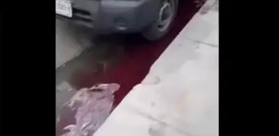 Vecinos de Monterrey denuncian a embalsamadora por arrojar sangre en calles del Centro