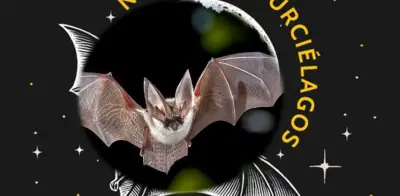 Viernes 13: Vive una 'Noche de Murciélagos' en Xochimilco, CDMX